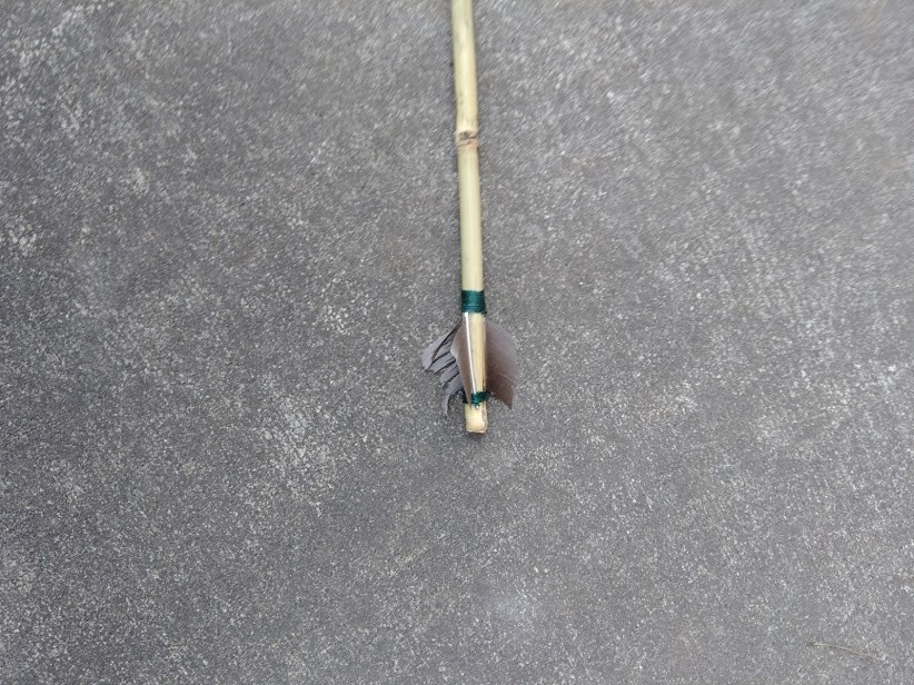 f:id:Naturalhistory:20200119163139j:plain