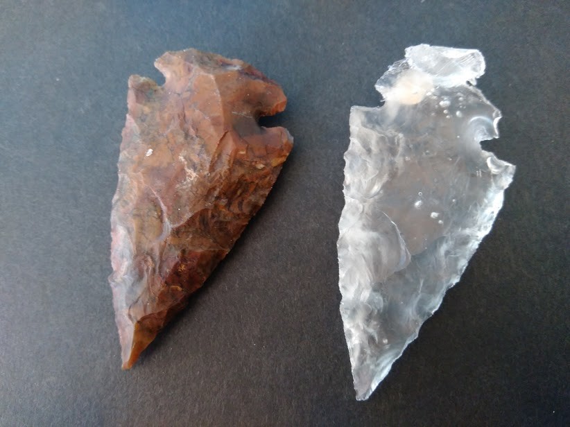 f:id:Naturalhistory:20200207162643j:plain