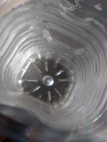 f:id:Naturalhistory:20200226162236j:plain