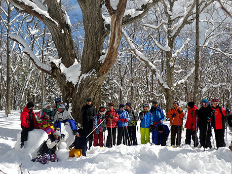 f:id:Naturalhistory:20200228171018j:plain