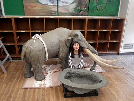 f:id:Naturalhistory:20200305163846j:plain