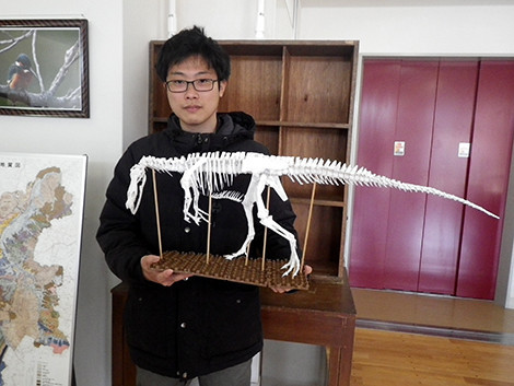 f:id:Naturalhistory:20200315170407j:plain