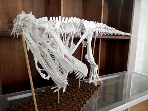 f:id:Naturalhistory:20200315171359j:plain