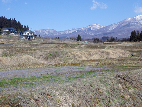 f:id:Naturalhistory:20200318123036j:plain f:id:Naturalhistory:20200318123036j:plain