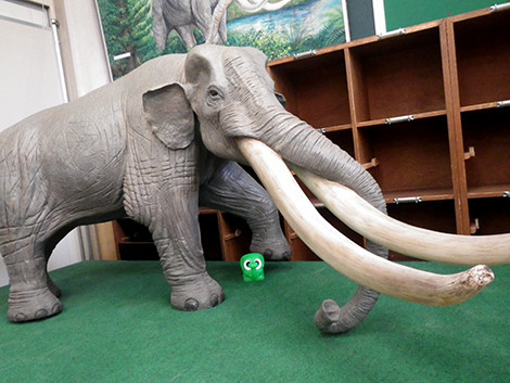 f:id:Naturalhistory:20200319164507j:plain
