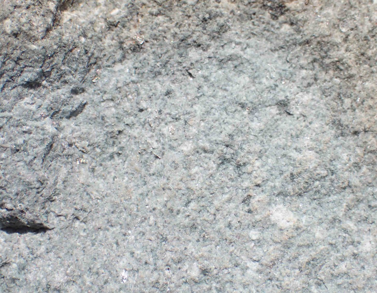 f:id:Naturalhistory:20200404120852j:plain