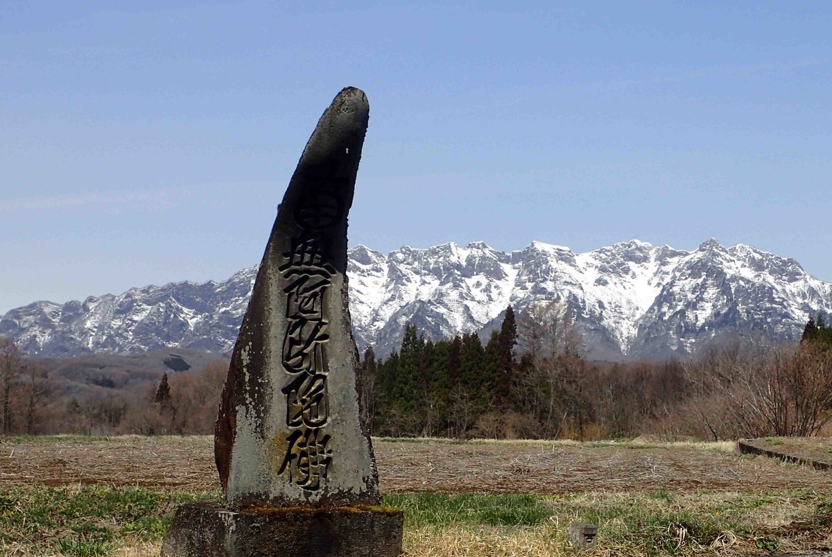 f:id:Naturalhistory:20200416105907j:plain