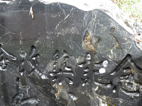 f:id:Naturalhistory:20200418151559j:plain f:id:Naturalhistory:20200418151559j:plain
