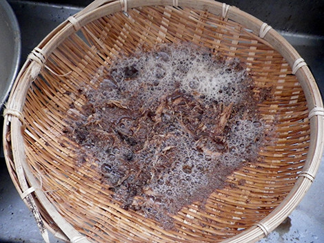f:id:Naturalhistory:20200423160637j:plain