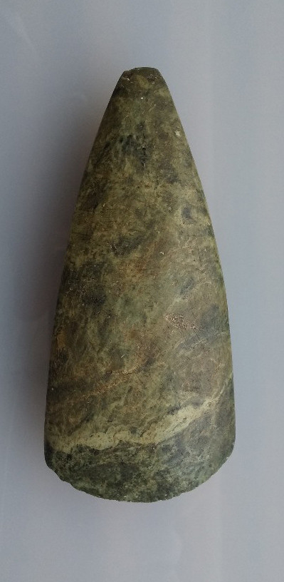 f:id:Naturalhistory:20200520163649j:plain