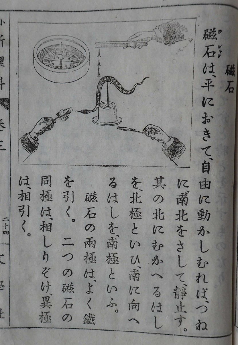 f:id:Naturalhistory:20200523162651j:plain