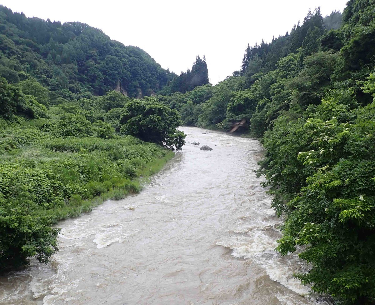 f:id:Naturalhistory:20200705080904j:plain