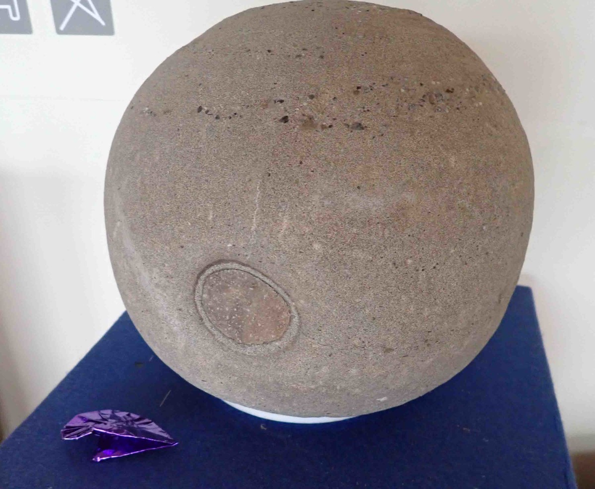 f:id:Naturalhistory:20200712083605j:plain