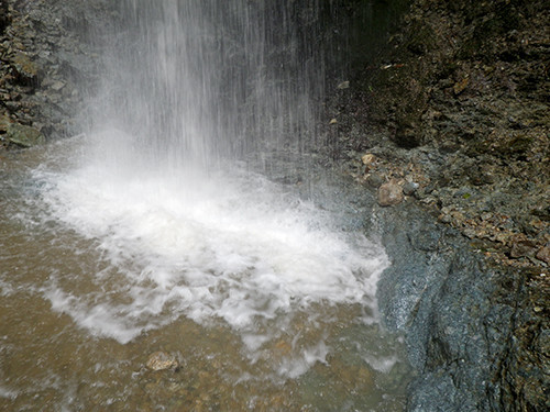 f:id:Naturalhistory:20200716094358j:plain