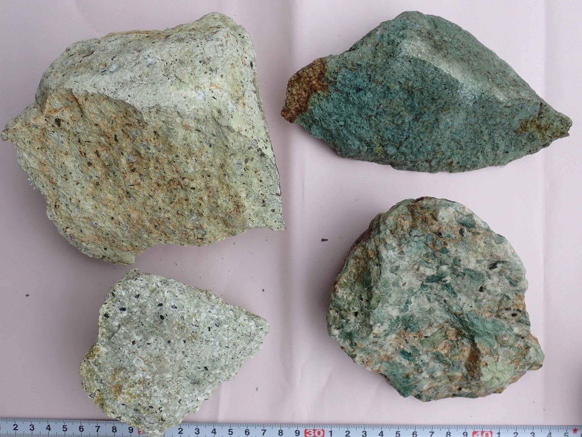 f:id:Naturalhistory:20200717123741j:plain