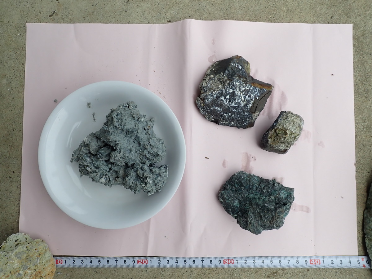 f:id:Naturalhistory:20200717124631j:plain