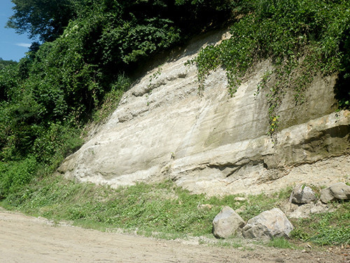 f:id:Naturalhistory:20200815095333j:plain