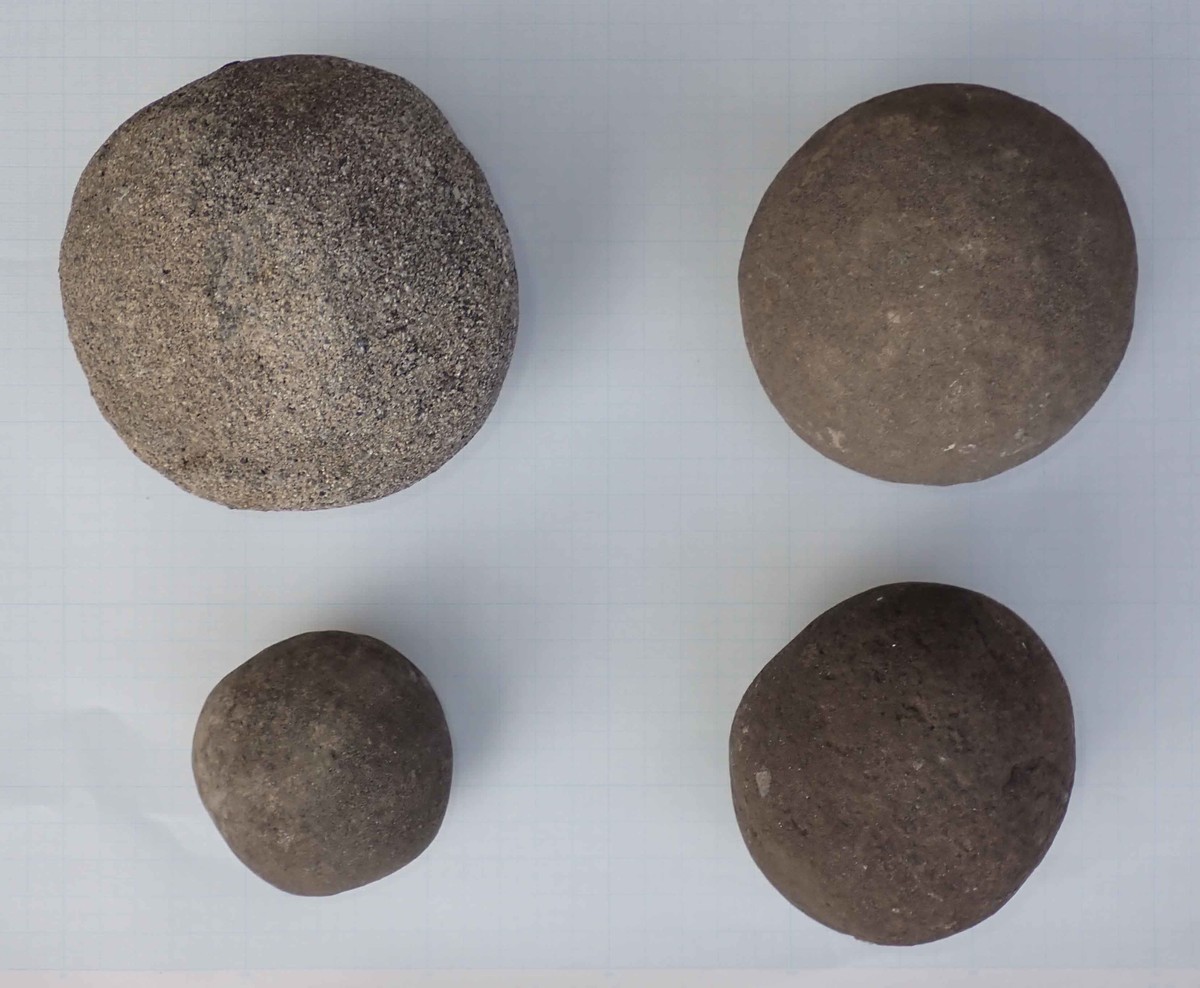 f:id:Naturalhistory:20200905151106j:plain