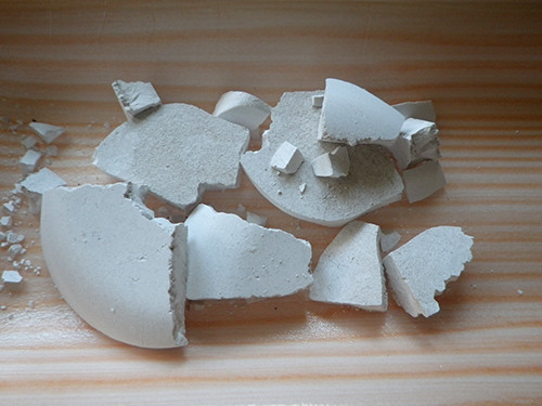 f:id:Naturalhistory:20200909072035j:plain