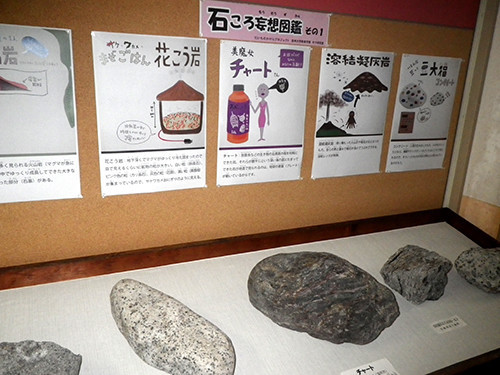 f:id:Naturalhistory:20200911173700j:plain