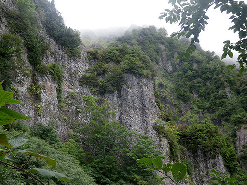f:id:Naturalhistory:20200912102119j:plain f:id:Naturalhistory:20200912102119j:plain