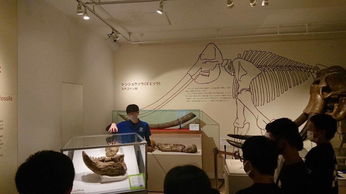 f:id:Naturalhistory:20200918160028j:plain f:id:Naturalhistory:20200918160028j:plain