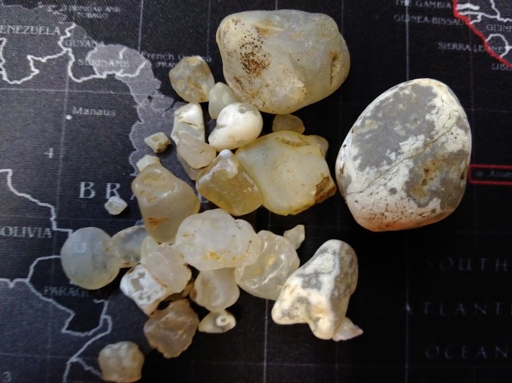 f:id:Naturalhistory:20200918160126j:plain f:id:Naturalhistory:20200918160126j:plain