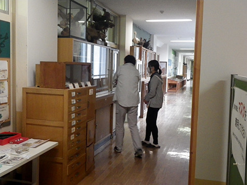 f:id:Naturalhistory:20200925142505j:plain