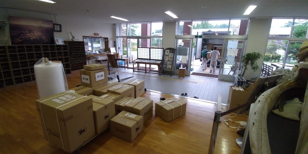 f:id:Naturalhistory:20201008161221j:plain
