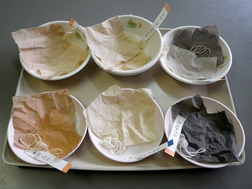 f:id:Naturalhistory:20201010153113j:plain