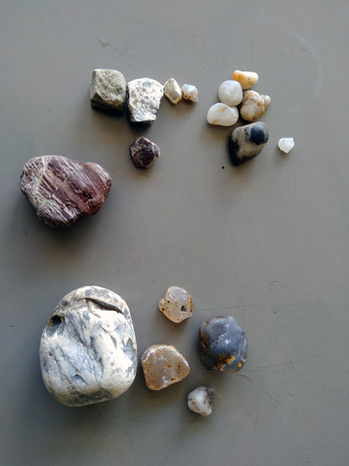 f:id:Naturalhistory:20201018153637j:plain