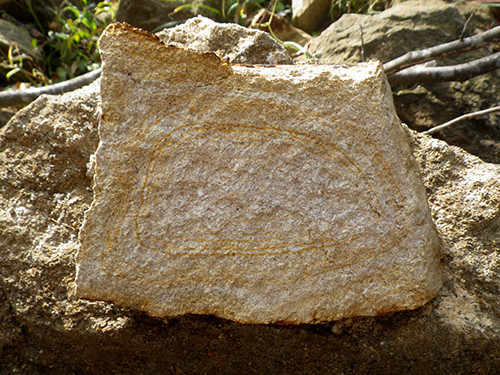 f:id:Naturalhistory:20201113103443j:plain