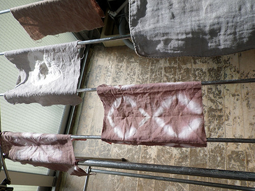 f:id:Naturalhistory:20201115120903j:plain