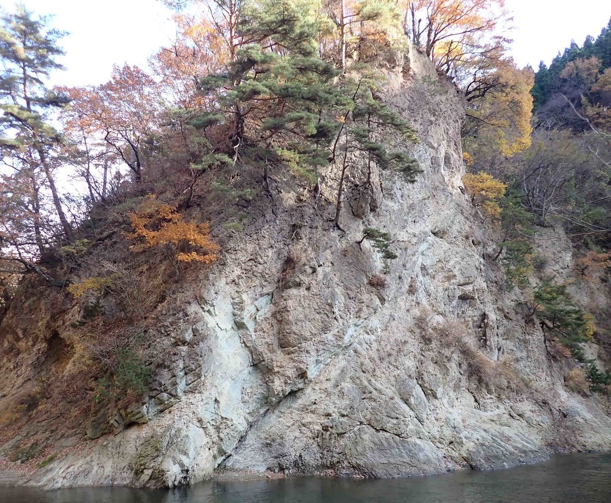f:id:Naturalhistory:20201119133720j:plain