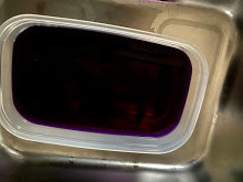 f:id:Naturalhistory:20201125164531j:plain