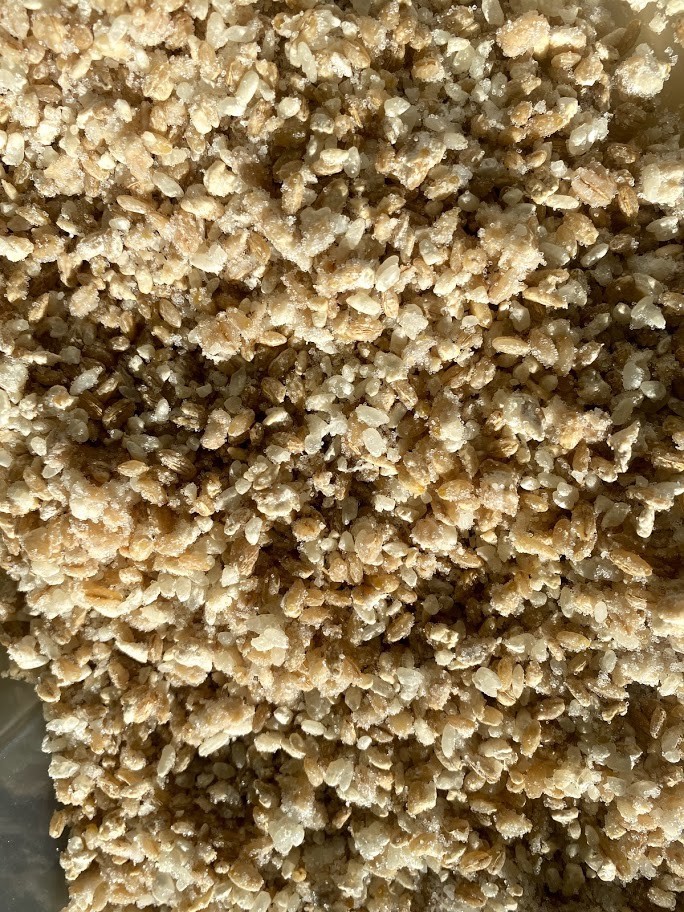 f:id:Naturalhistory:20201220160125j:plain