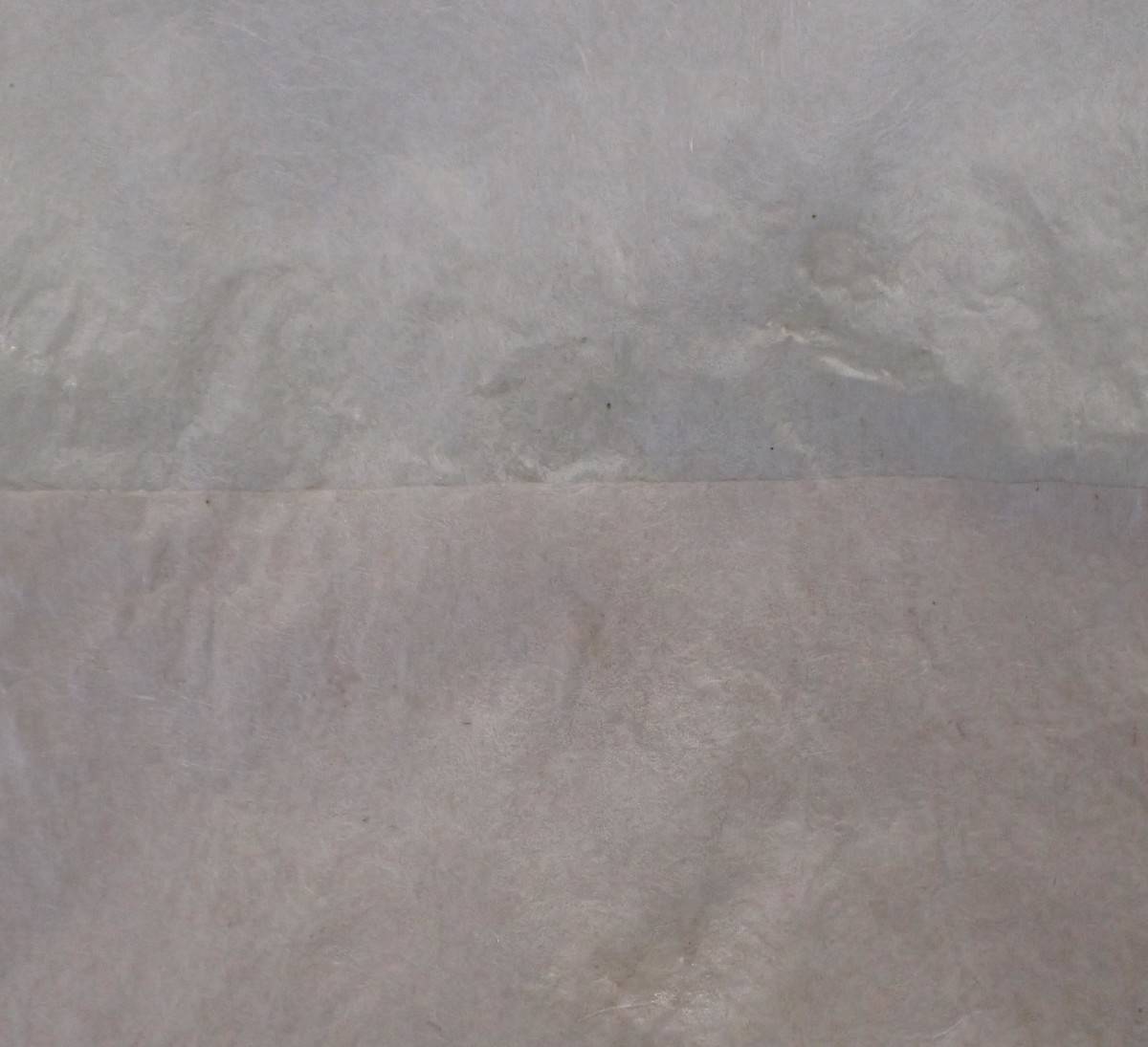 f:id:Naturalhistory:20210107140703j:plain