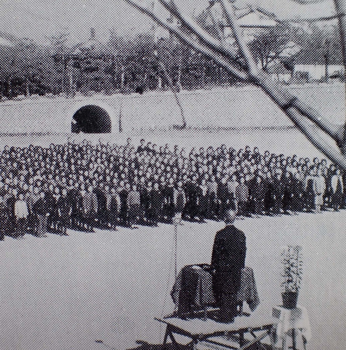 f:id:Naturalhistory:20210113111930j:plain