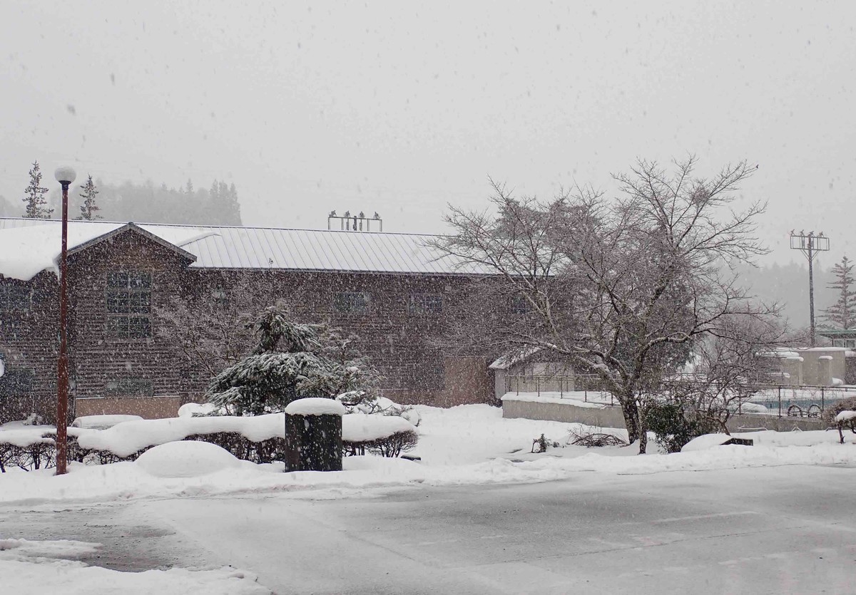 f:id:Naturalhistory:20210116133701j:plain