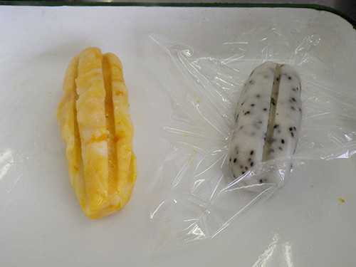 f:id:Naturalhistory:20210117113548j:plain