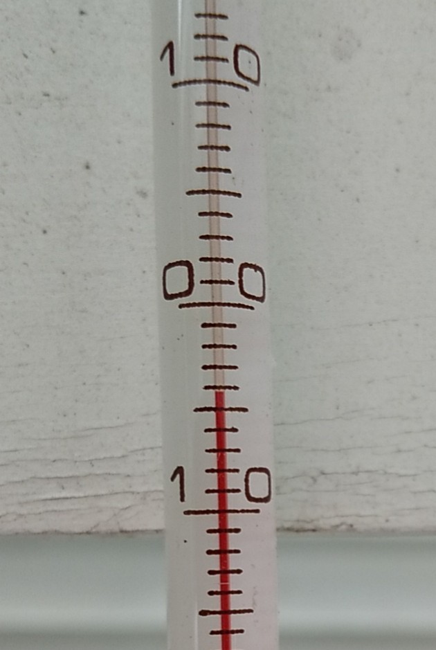 f:id:Naturalhistory:20210129155259j:plain