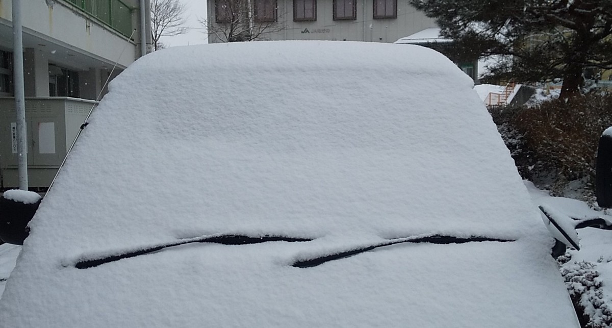 f:id:Naturalhistory:20210129155320j:plain