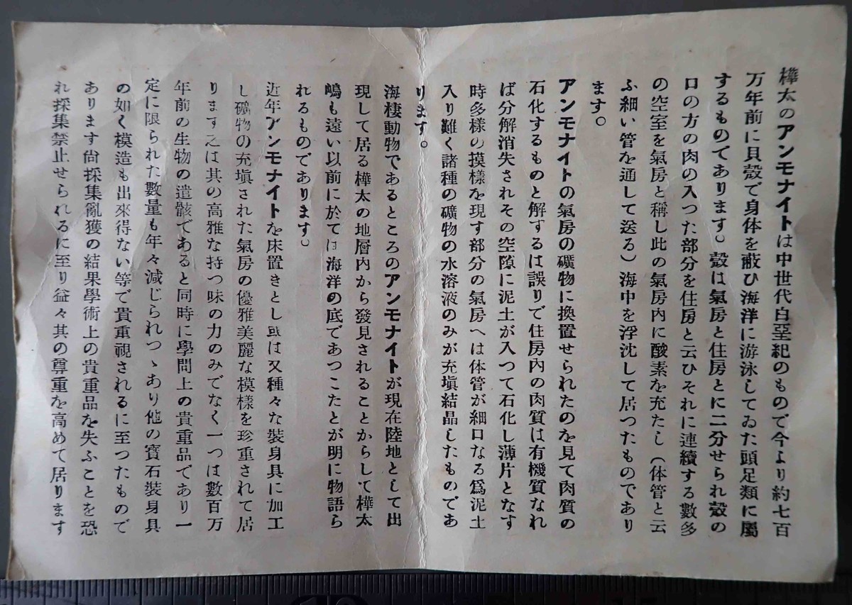 f:id:Naturalhistory:20210217125911j:plain