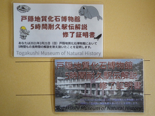f:id:Naturalhistory:20210221153136j:plain