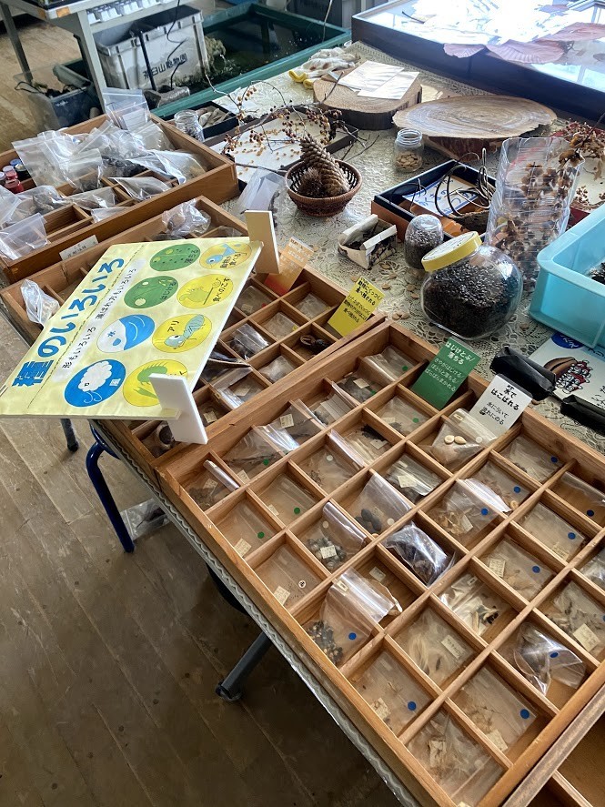 f:id:Naturalhistory:20210310154459j:plain