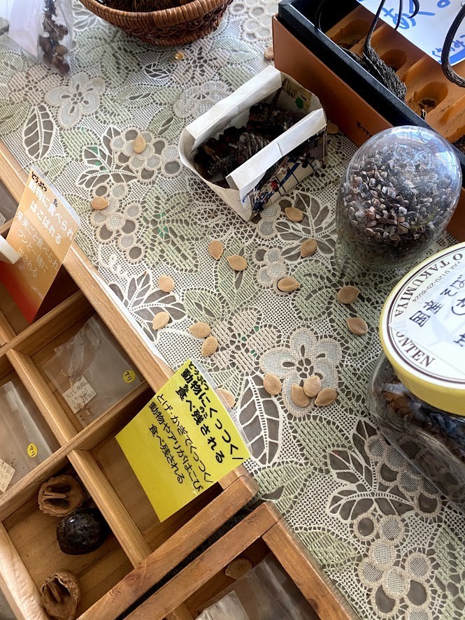 f:id:Naturalhistory:20210310154523j:plain