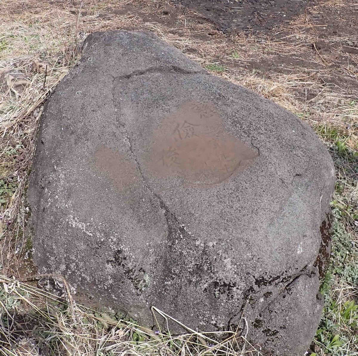 f:id:Naturalhistory:20210410141944j:plain