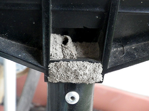 f:id:Naturalhistory:20210615174105j:plain