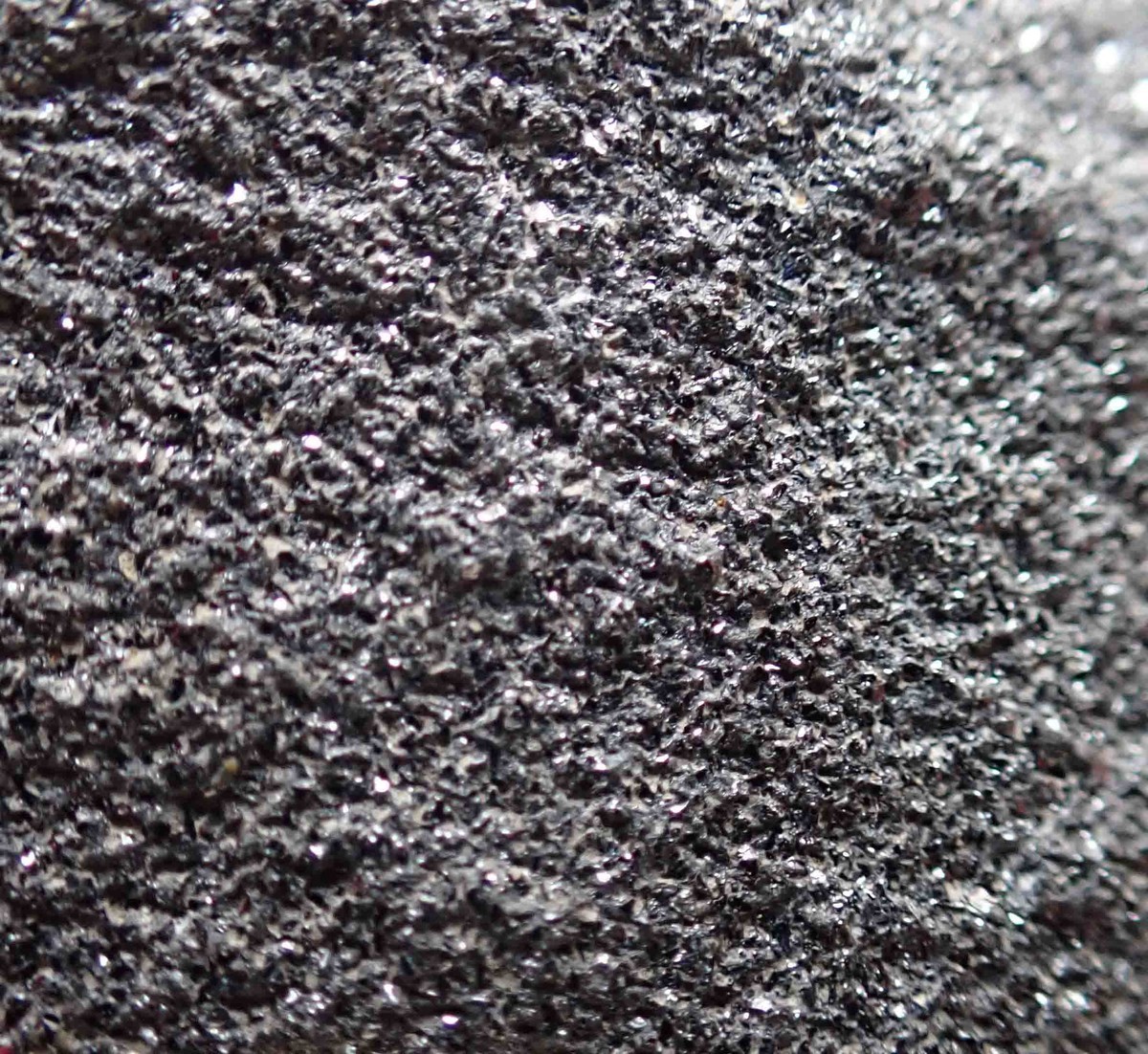 f:id:Naturalhistory:20210616151518j:plain