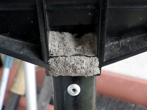 f:id:Naturalhistory:20210616174546j:plain